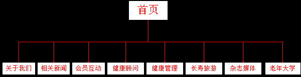 老年网站建设框架及栏目规划